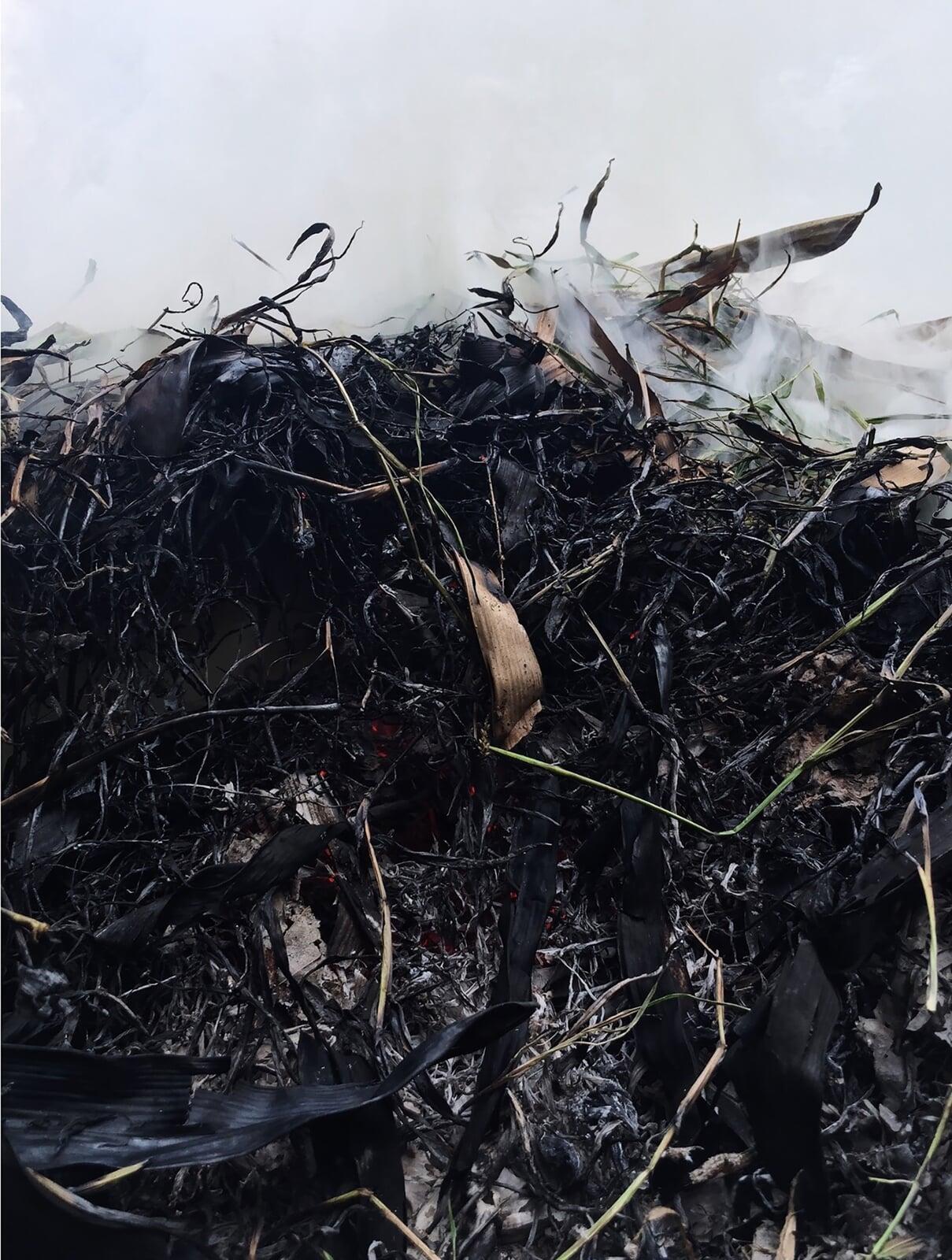 Are Oxo-Biodegradable Plastics Environmentally Friendly?