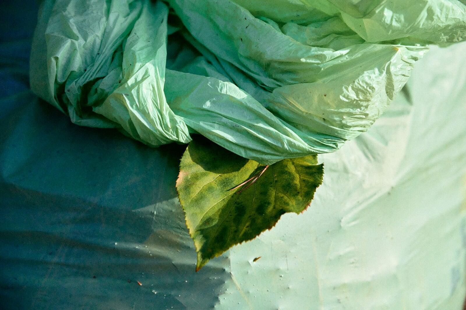 Green Refuse Bags Are Just As Green As They Look!